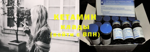 сатива Белокуриха
