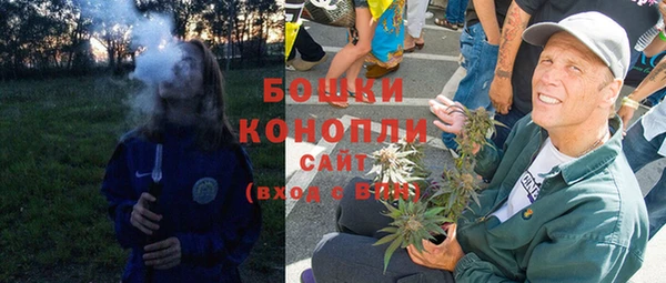 сатива Белокуриха