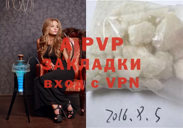 сатива Белокуриха