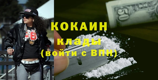 сатива Белокуриха
