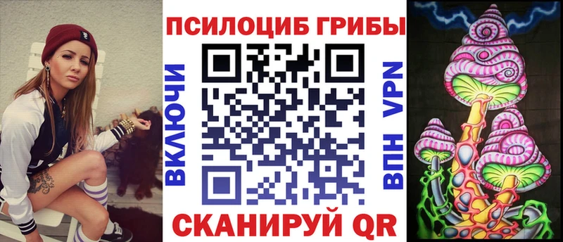 Псилоцибиновые грибы Psilocybe  Бутурлиновка 